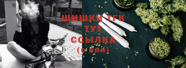прущие грибы Сафоново