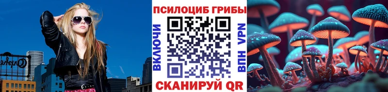 блэк спрут tor Калининск Псилоцибиновые грибы Psilocybine cubensis